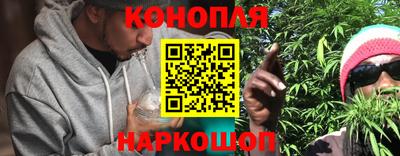 стаф Малгобек