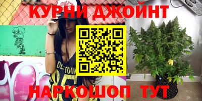 стаф Малгобек