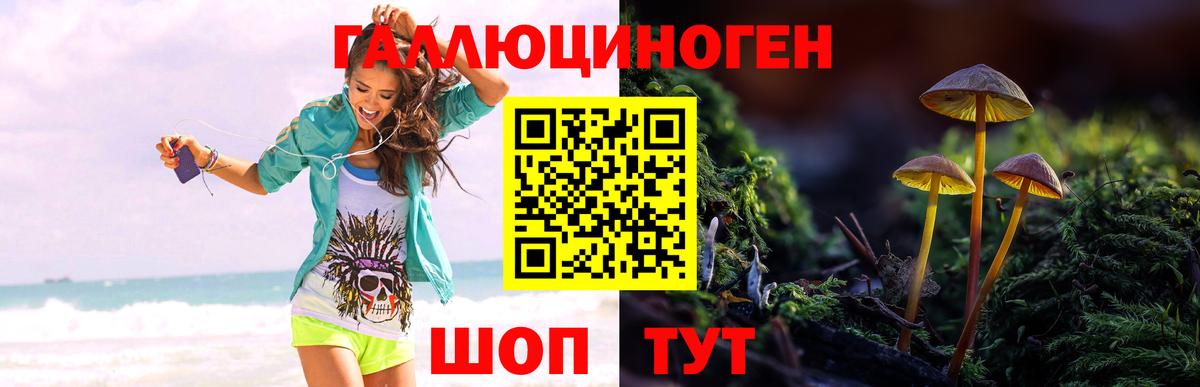 Губаха  Галлюциногенные грибы мухоморы  Псилоцибиновые грибы Psilocybe  Вход с VPN 